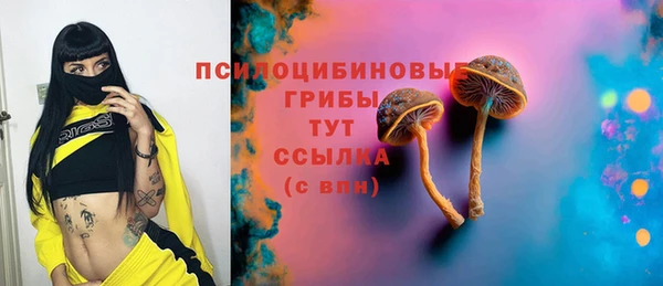 ГАЛЛЮЦИНОГЕННЫЕ ГРИБЫ Михайловка