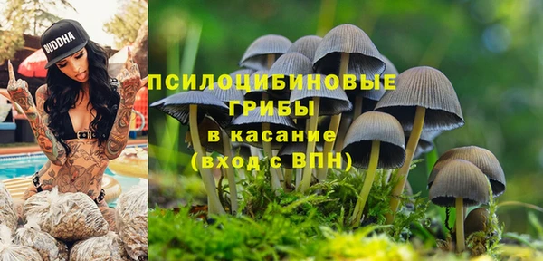 эйфоретик Вязьма